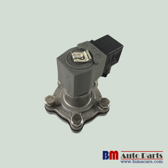 Integral Pilot Pulse Goyen Diaphragm Valve