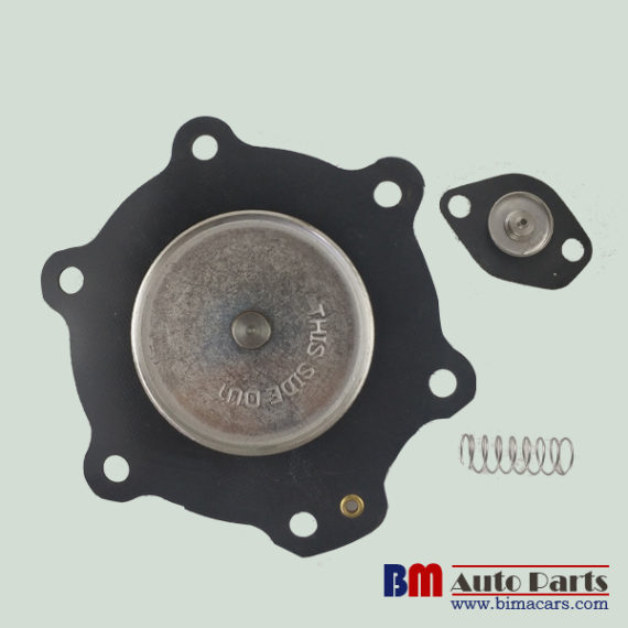 ASCO C113827 Diaphragm Repair Kit