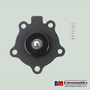 96875 238864 3/4'' NBR Diaphragm Repair Kits