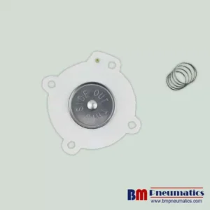 C113444 Diaphragm Repair Kit for SCG353A044