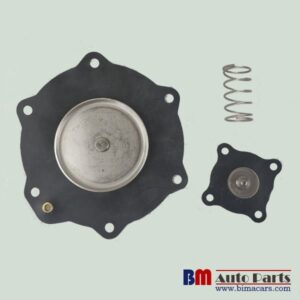 ASCO C113685 C113686 Diaphragm Repair Kit