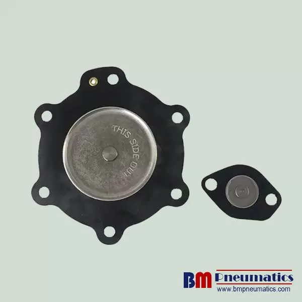 C113826 Diaphragm Repair Kits for G353A046