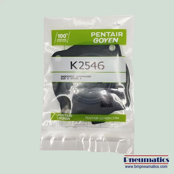 Goyen Diaphragm Repair Kit K2546