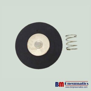 Goyen K2016 RCAC20 Diaphragm Kit