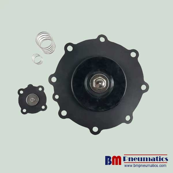 JOIL JIHI102 G4" Diaphragm Repair Kit