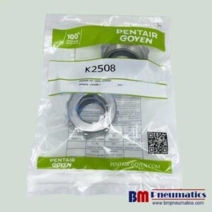 Goyen K2508 - Nitrile Dresser Seal Kit